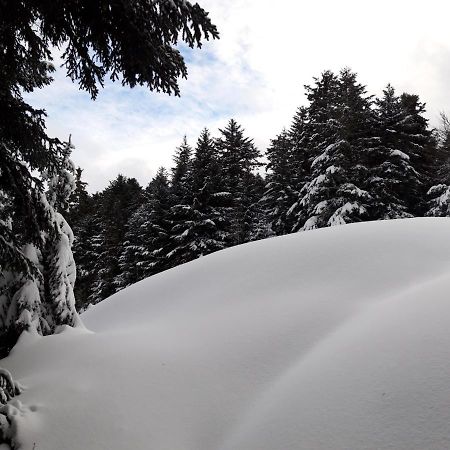 Pyrenees - Le Nid D'Ax Appartement Ax-les-Thermes Buitenkant foto