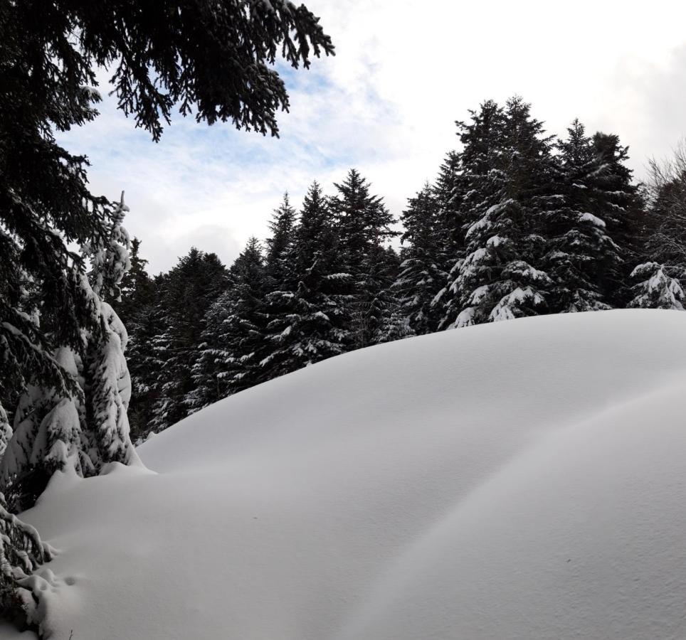 Pyrenees - Le Nid D'Ax Appartement Ax-les-Thermes Buitenkant foto